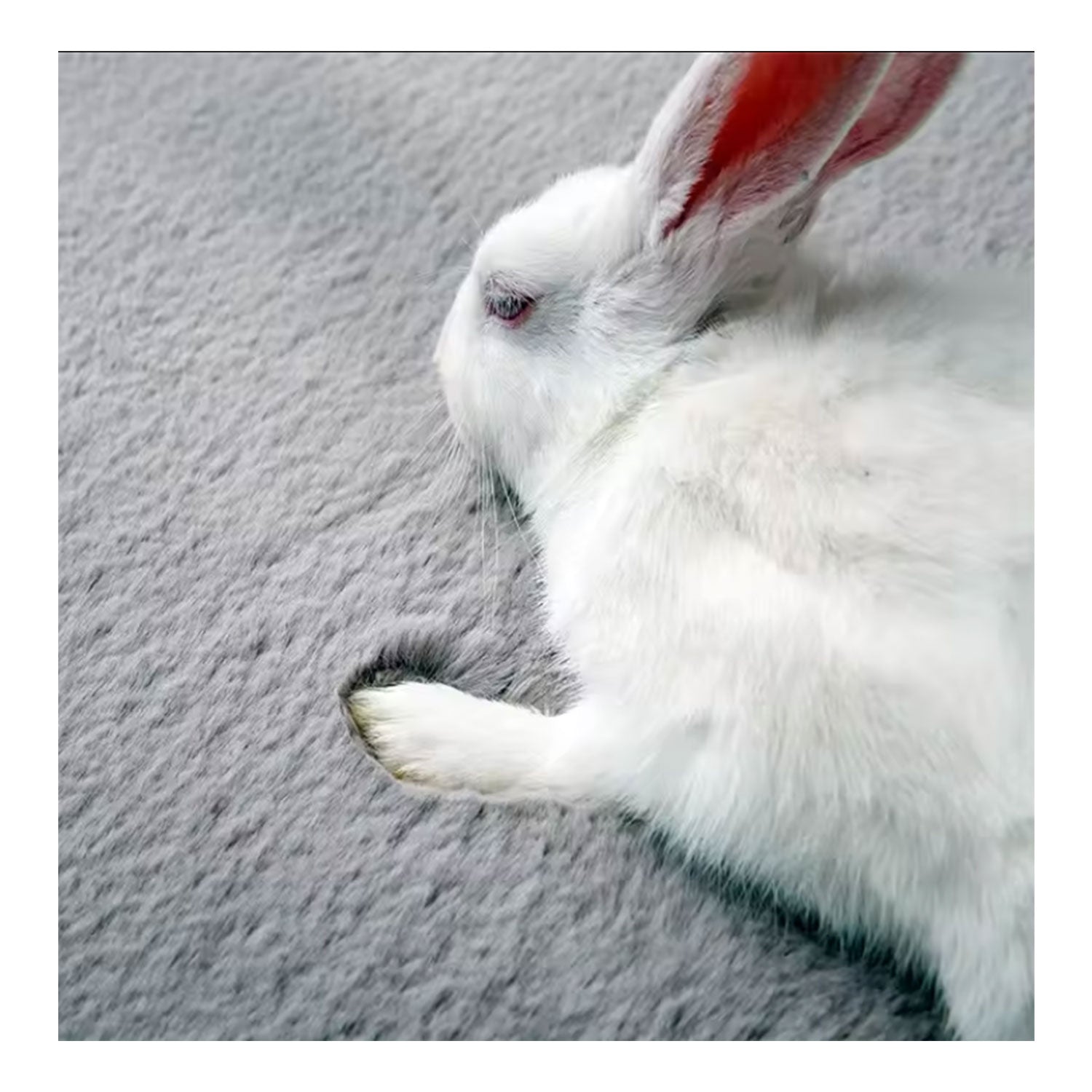 Deluxe washable fur rug, soft high-pile rug in a solid color, cozy for your living room or bedroom-zoom-19