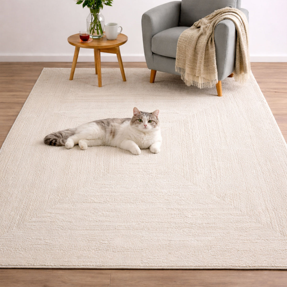 Modern rug for living room and bedroom with high and low border, high quality, 3D effect-27